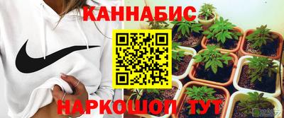 гидропоника Берёзовский