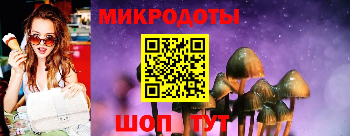 Галлюциногенные грибы Cubensis  сколько стоит  Кириши  Вход с VPN 